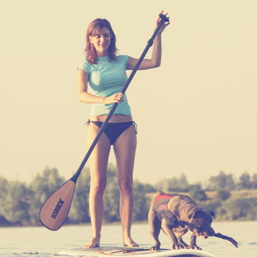 Jobe SUP Pro Paddle Carbon